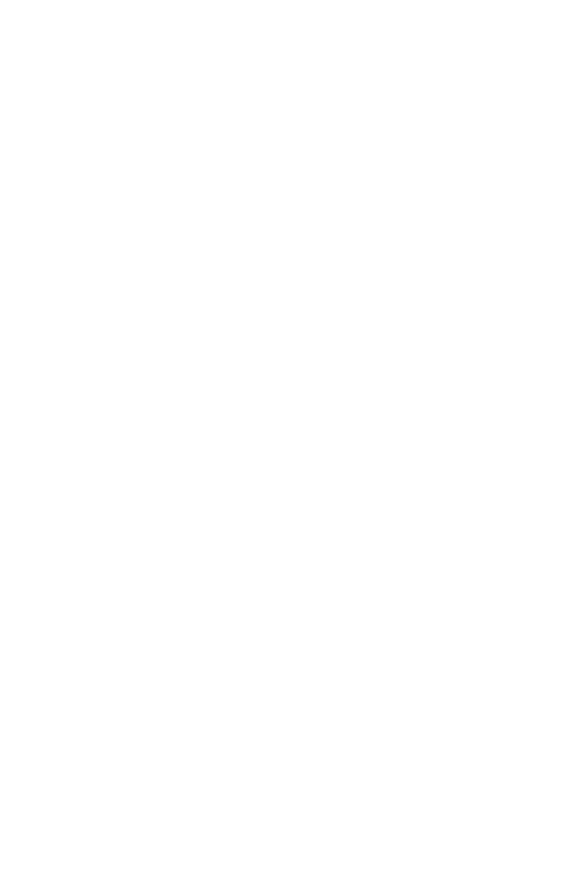 Burako Game